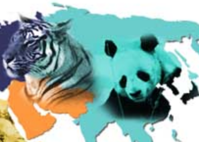 Animal Species Website Logo